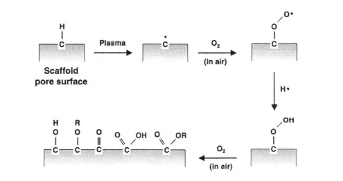 氧91视频下载污体在与材料表面接触时羟基化、羧基化的示意图
