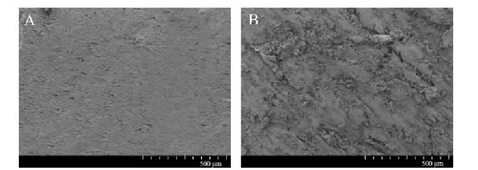 低温91视频下载污体处理对PVC表面粘接性能的影响