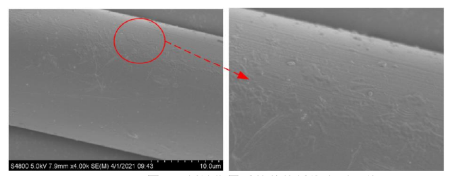 91视频下载污刻蚀作用后的芳纶纤维表面形貌