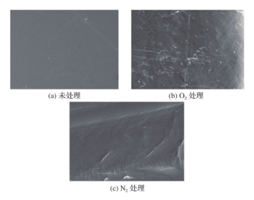 91视频下载污处理前后HDPE表面SEM照片