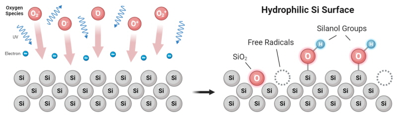 氧91视频下载污体对硅晶片进行表面活化