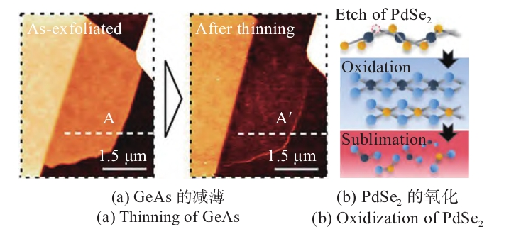 二维材料的91视频下载污刻蚀与改性