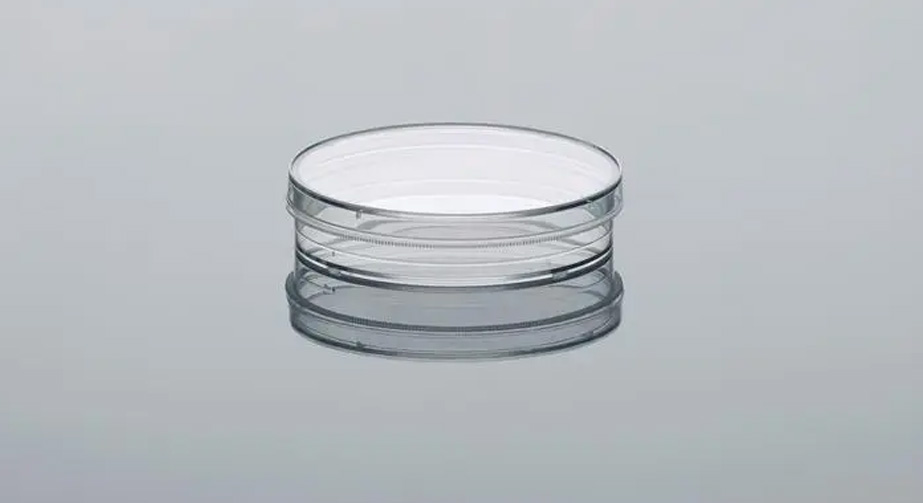 培养皿91视频下载污表面处理