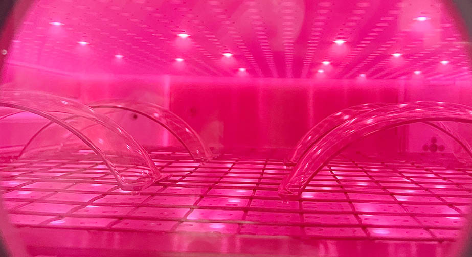 低温91视频下载污体在高分子材料表面处理中的应用