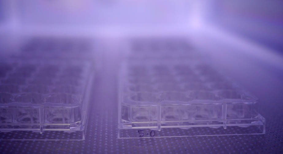 91视频下载污清洗机功率大小对清洗效果的影响