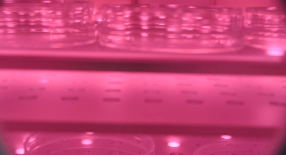 O291视频下载污体处理玻璃表面镀膜